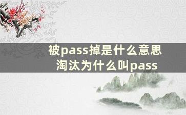 被pass掉是什么意思 淘汰为什么叫pass